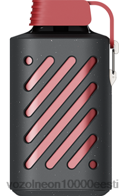 VOZOL GEAR 10 000 | X8428290 VOZOL Gear Power 20000 draakonivili banaan kirss