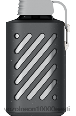 VOZOL GEAR 10 000 | X8428296 VOZOL Hind sidruni piparmünt