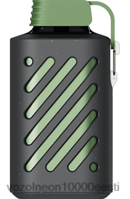 VOZOL GEAR 10 000 | X8428297 VOZOL Vape Order lopsakas jää
