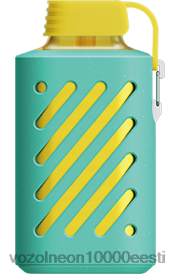 VOZOL GEAR 10 000 | X8428298 VOZOL Vape Review miami piparmünt