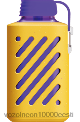 VOZOL GEAR 10 000 | X8428317 VOZOL Vape Order sidruni laim