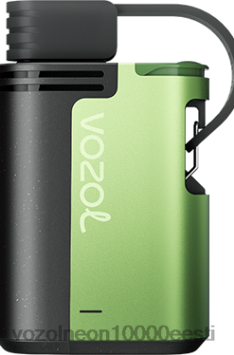 VOZOL GEAR 4000c/6000 | X8428323 VOZOL Vape Eesti lahe piparmünt