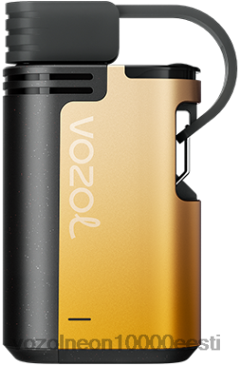 VOZOL GEAR 4000c/6000 | X8428327 VOZOL Vape Order mango kannatusvili