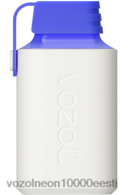 VOZOL GEAR 600 | X8428346 VOZOL Hind sinine razz sidrun