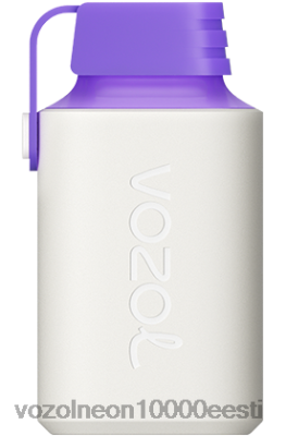 VOZOL GEAR 600 | X8428350 VOZOL Gear Power 20000 metsamarja energia
