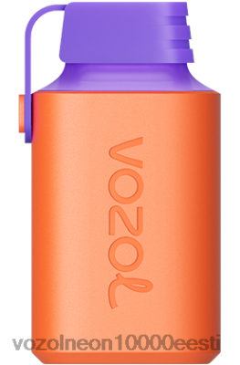 VOZOL GEAR 600 | X8428353 VOZOL Vape Eesti litši guajaav arbuus