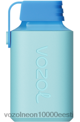 VOZOL GEAR 600 | X8428355 VOZOL Estonia härra sinine