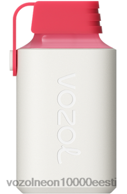 VOZOL GEAR 600 | X8428358 VOZOL Vape Review maasikas vaarikas kirss