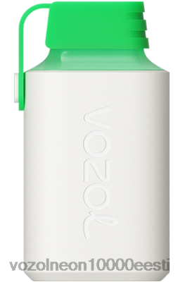 VOZOL GEAR 600 | X8428359 VOZOL Vape Store arbuusi jää
