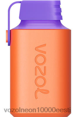 VOZOL GEAR 600 | X8428360 VOZOL Gear Power 20000 murakajää