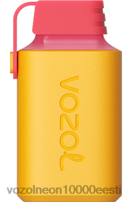 VOZOL GEAR 600 | X8428363 VOZOL Vape Eesti sidruni laim