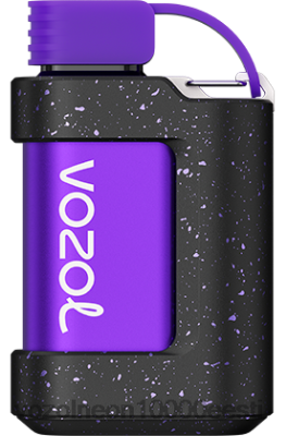 VOZOL GEAR 7000 | X8428330 VOZOL Gear Power 20000 aaloe viinamari