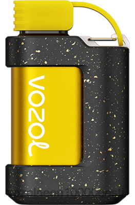 VOZOL GEAR 7000 | X8428337 VOZOL Vape Order virsiku jää