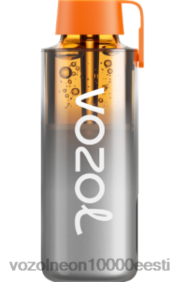 VOZOL NEON 10 000 | X8428228 VOZOL Vape Review vikerkaarhapu