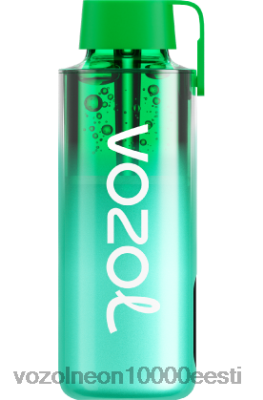 VOZOL NEON 10 000 | X8428229 VOZOL Vape Store miami piparmünt