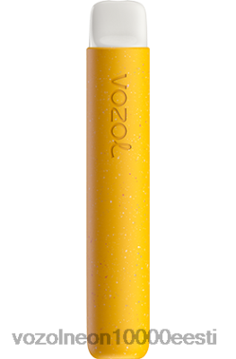 VOZOL STAR 600 | X842872 VOZOL Tallinn banaani jää