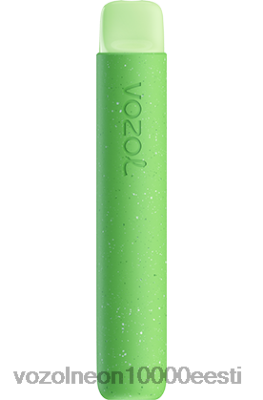 VOZOL STAR 600 | X842879 VOZOL Vape Store metsa marjatorm