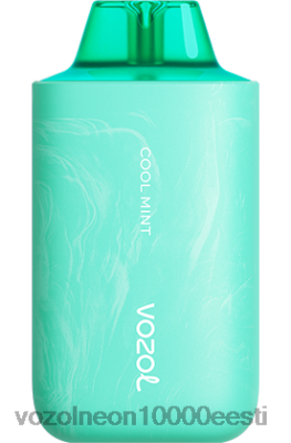 VOZOL STAR 6000/8000 v2 | X842857 VOZOL Vape Order lahe piparmünt