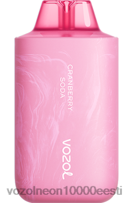 VOZOL STAR 6000/8000 v2 | X842858 VOZOL Vape Review jõhvika sooda