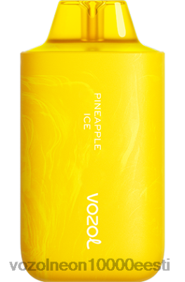 VOZOL STAR 6000/8000 v2 | X842864 VOZOL Vape Price ananassi jää