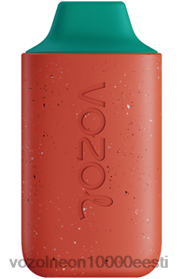 VOZOL STAR 6000 | X8428111 VOZOL Eesti draakoni viljaga arbuus
