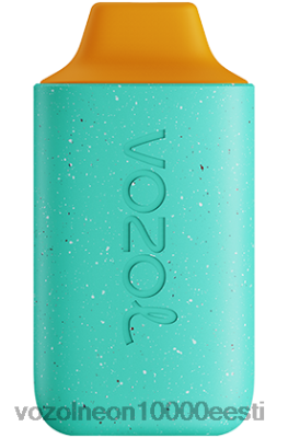 VOZOL STAR 6000 | X8428114 VOZOL Vape Price mesikaste punš
