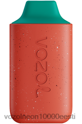 VOZOL STAR 6000 | X8428117 VOZOL Vape Order litši guajaav arbuus