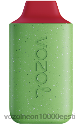 VOZOL STAR 6000 | X8428127 VOZOL Vape Order vaarikas arbuus