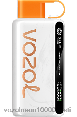 VOZOL STAR 9000/12000 | X842828 VOZOL Vape Review virsiku mango arbuus