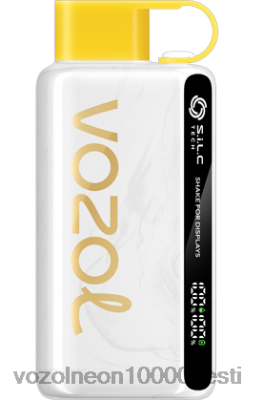 VOZOL STAR 9000/12000 | X842846 VOZOL Hind ananassi kookosjää