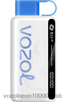 VOZOL STAR 9000/12000 | X842850 VOZOL Gear Power 20000 vzbull