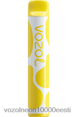 VOZOL JOYGO 600 | X8428376 VOZOL Hind banaani jää