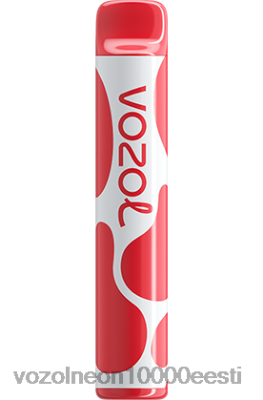 VOZOL JOYGO 600 | X8428389 VOZOL Vape Store virsiku jää