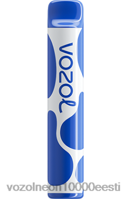 VOZOL JOYGO 600 | X8428390 VOZOL Gear Power 20000 mustikatorm