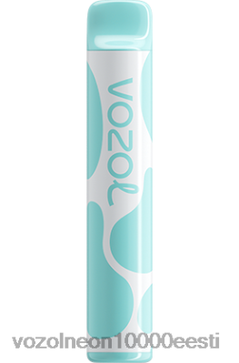 VOZOL JOYGO 600 | X8428391 VOZOL Eesti vikerkaare kommid