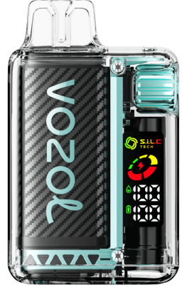 VOZOL VISTA 16000/20000 | X842814 VOZOL Vape Price hapu õunajää