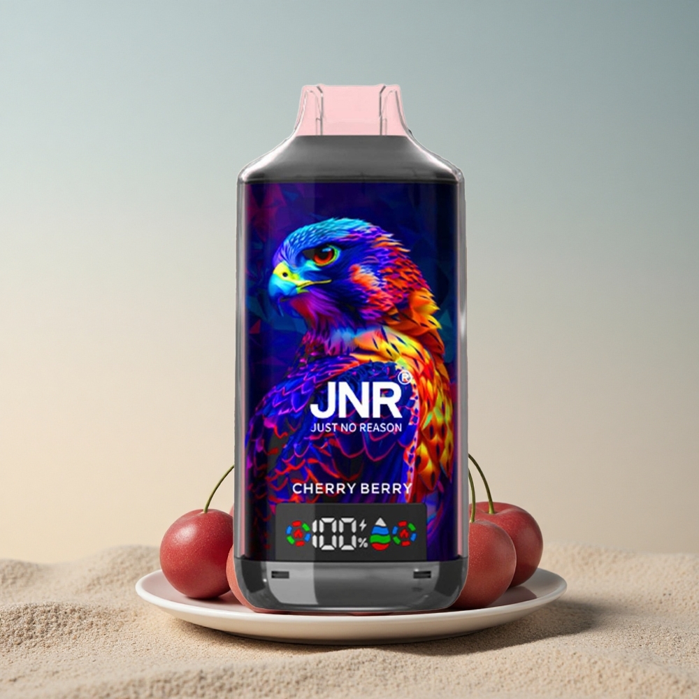 JNR Falcon X 18000 Kirsi-Marja 24ml Kahetikandmikuga Digitaalne Tüüp-C Kiirlaadimine 750mAh 5% nikotiini